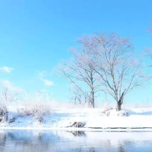 月兔怎么从森林回家　月兔爬雪山会到山顶吗-第30张