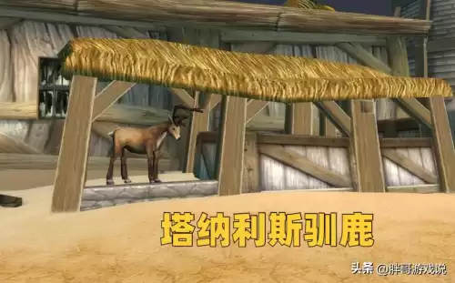 魔兽怎么招手动作　魔兽世界那么多技能怎么按得来-第7张