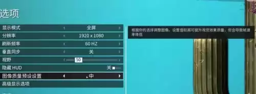 黑道圣徒4设置在哪　黑道圣徒3设置中文-第7张