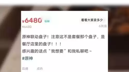 为什么很多人讨厌原神玩家　玩原神的都是什么人-第2张