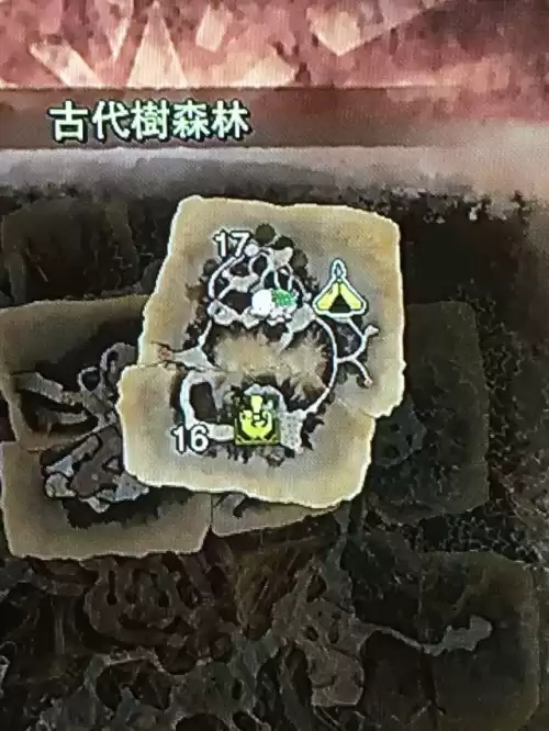 怪物猎人p3雄火龙在哪里　怪物猎人p3火龙-第2张