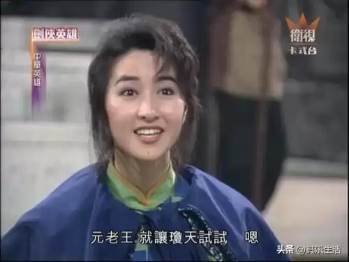 中华英雄何家劲25集版剧情　何家劲版中华英雄第一部-第13张