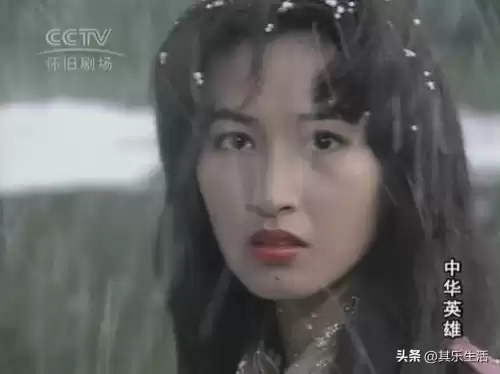 中华英雄何家劲25集版剧情　何家劲版中华英雄第一部-第12张