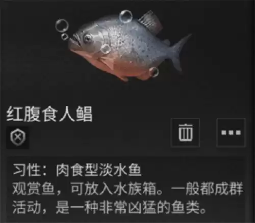 明日之后观赏鱼怎么卖　明日之后观赏鱼-第2张