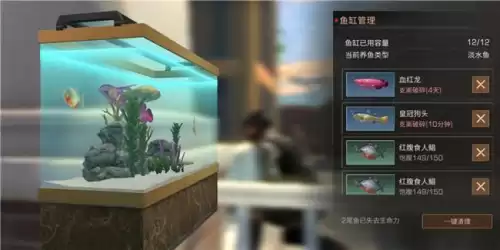 明日之后观赏鱼怎么卖　明日之后观赏鱼-第1张