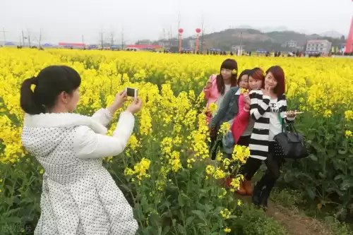 白铁矿医用价值高吗　哪里有白铁矿-第1张