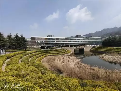 狂野星球之旅琥珀怎么融化　狂野星球之旅铝怎么获得-第35张