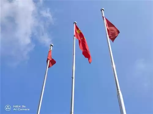 狂野星球之旅琥珀怎么融化　狂野星球之旅铝怎么获得-第34张