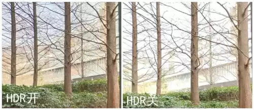 狂野星球之旅琥珀怎么融化　狂野星球之旅铝怎么获得-第49张