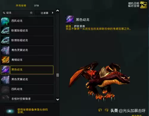 暮光幼龙好看吗贴吧　青铜幼龙坐骑绝版了吗-第1张