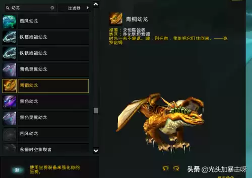 暮光幼龙好看吗贴吧　青铜幼龙坐骑绝版了吗-第2张