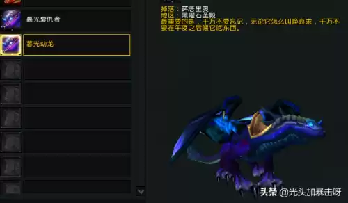 暮光幼龙好看吗贴吧　青铜幼龙坐骑绝版了吗-第3张
