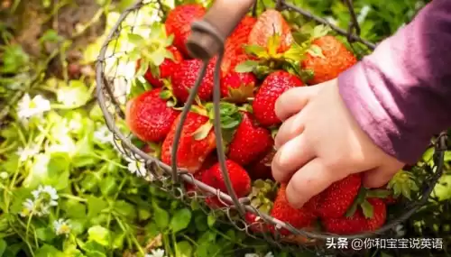 wowtheyresobig什么意思　wow how nice什么意思-第7张