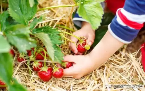 wowtheyresobig什么意思　wow how nice什么意思-第6张