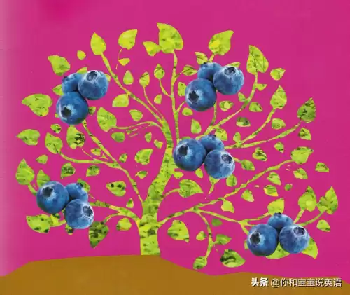 wowtheyresobig什么意思　wow how nice什么意思-第14张