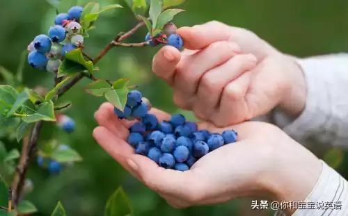 wowtheyresobig什么意思　wow how nice什么意思-第16张