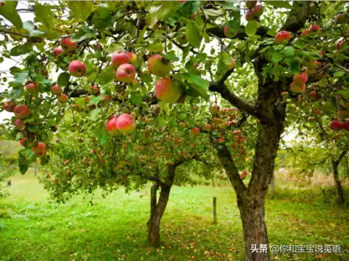 wowtheyresobig什么意思　wow how nice什么意思-第21张