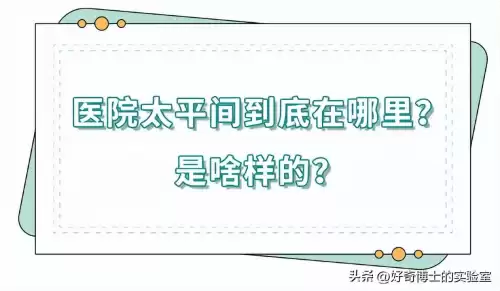 游戏中的停尸房在哪里　太平间和停尸房有什么区别-第4张