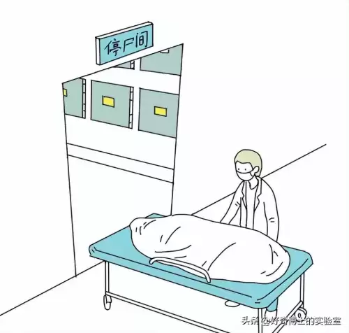 游戏中的停尸房在哪里　太平间和停尸房有什么区别-第10张