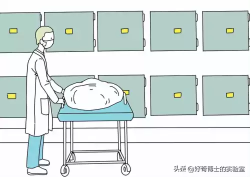 游戏中的停尸房在哪里　太平间和停尸房有什么区别-第11张