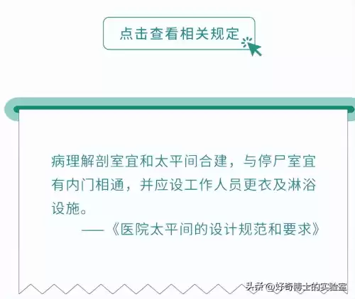 游戏中的停尸房在哪里　太平间和停尸房有什么区别-第14张