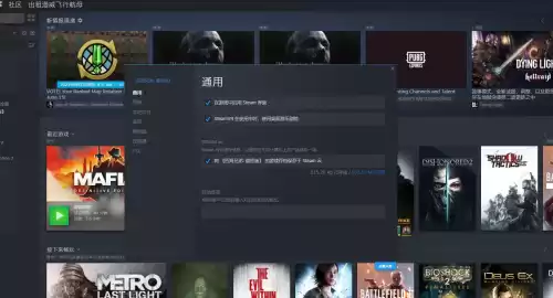 四海兄弟游戏启动器在哪　2k启动器无法玩四海兄弟-第2张