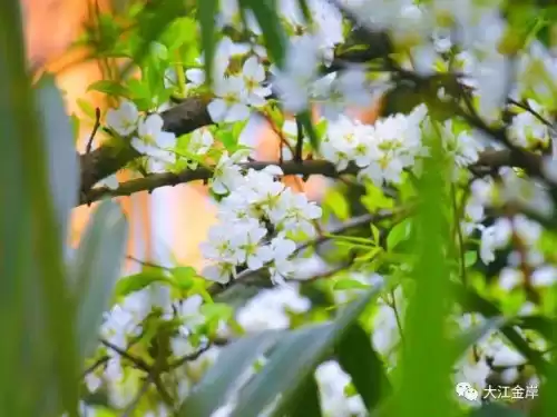 心怀感恩笃定前行是什么意思　心怀感恩-第2张