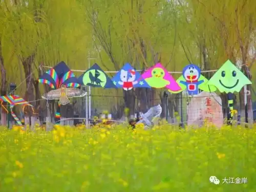 心怀感恩笃定前行是什么意思　心怀感恩-第4张