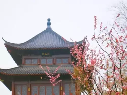 心怀感恩笃定前行是什么意思　心怀感恩-第5张