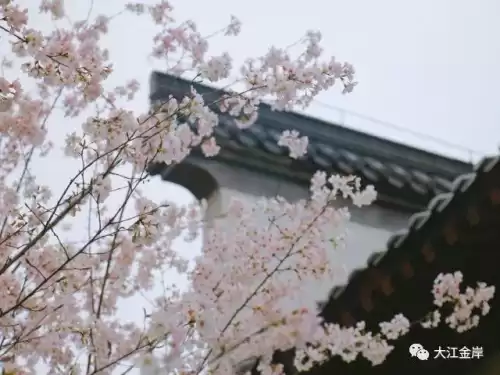 心怀感恩笃定前行是什么意思　心怀感恩-第6张