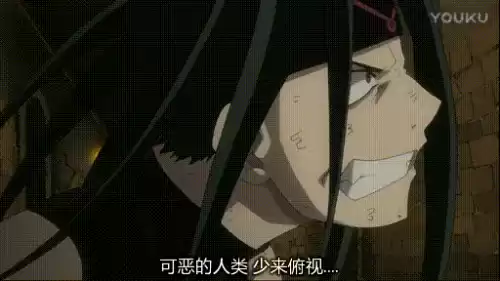 钢之炼金术师fa结局怎么样　钢之炼金术师fa剧情-第6张