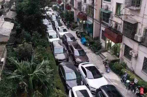 推格子的游戏叫什么　推格子游戏攻略-第13张