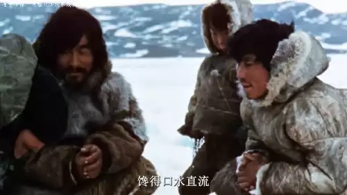 迷你世界石锅怎么生火　迷你世界怎么把石锅放在篝火上-第3张