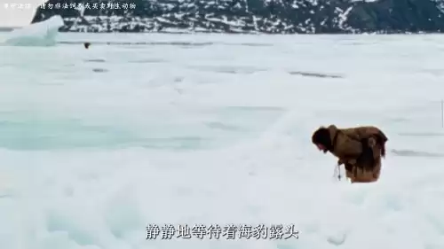 迷你世界石锅怎么生火　迷你世界怎么把石锅放在篝火上-第2张