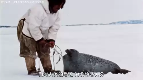迷你世界石锅怎么生火　迷你世界怎么把石锅放在篝火上-第5张