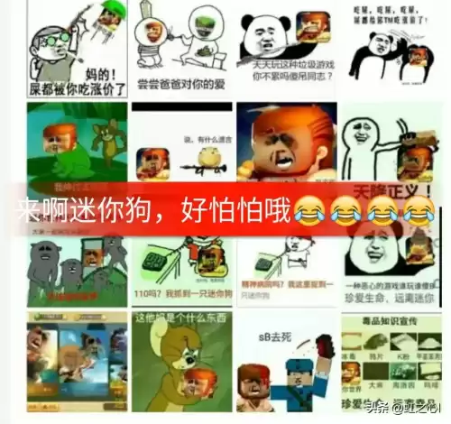 迷你世界是不是盗我的世界　我的世界和迷你世界哪个是正版游戏-第3张