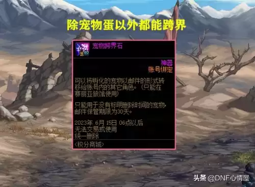 dnf逆流之魂灵珠宠物　地下城宠物宝珠-第3张
