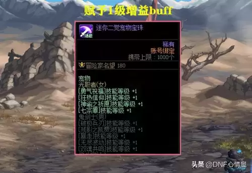 dnf逆流之魂灵珠宠物　地下城宠物宝珠-第7张