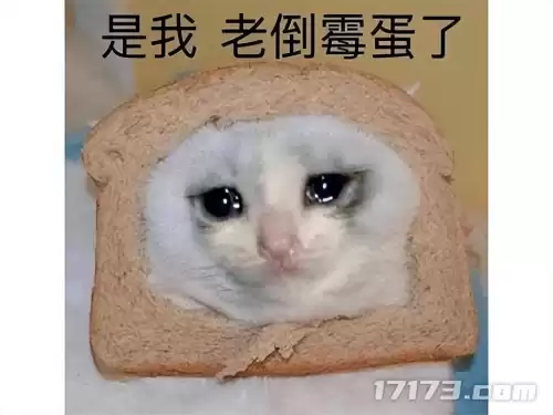 原神有几个g的内存　原神的最新版本更新内容-第12张