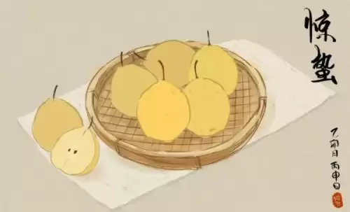 惊蛰是什么意思解释　惊蛰的含义-第2张
