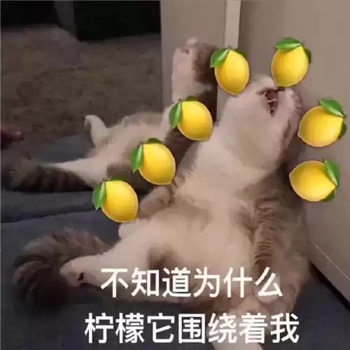 lol一区有多离谱　lol十大强区-第15张