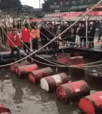 拍照也疯狂如何完美通关 拍照也疯狂游戏攻略-第2张
