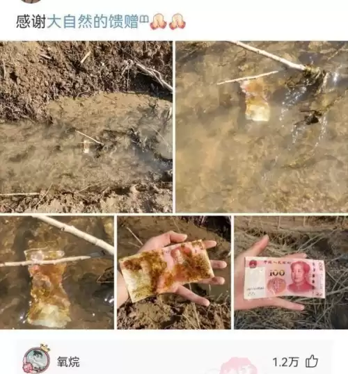 拍照也疯狂如何完美通关 拍照也疯狂游戏攻略-第20张