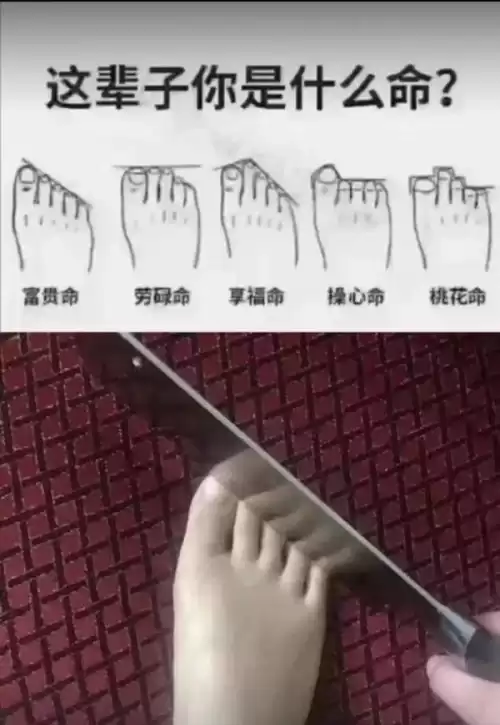 拍照也疯狂如何完美通关 拍照也疯狂游戏攻略-第21张
