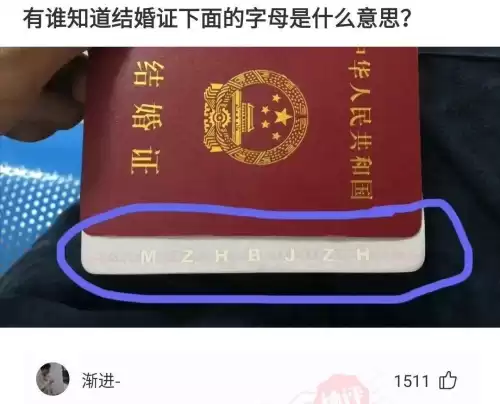 拍照也疯狂如何完美通关 拍照也疯狂游戏攻略-第34张