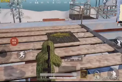 pubg和和平精英哪个好玩　绝地求生和和平精英哪个好玩-第4张