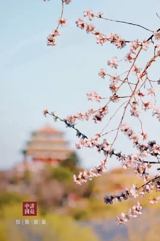 惊蛰的蛰怎么发音呢　什么是惊蛰-第1张