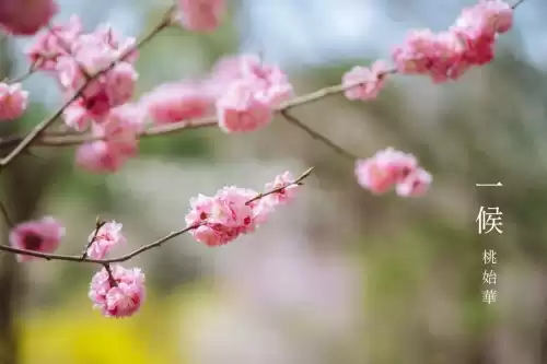 惊蛰的蛰怎么发音呢　什么是惊蛰-第9张