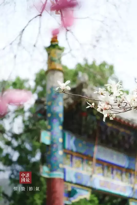 惊蛰的蛰怎么发音呢　什么是惊蛰-第14张