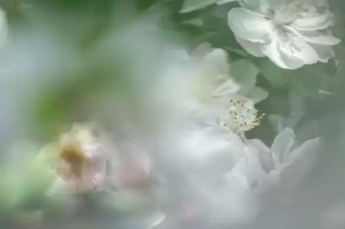 惊蛰的蛰怎么发音呢　什么是惊蛰-第17张
